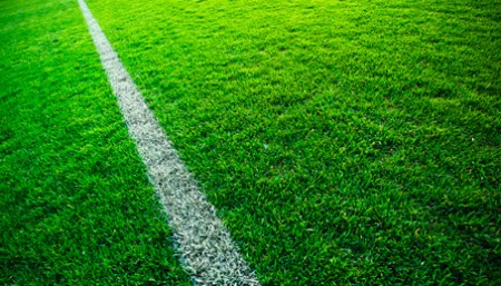 Queensland to host international warm season turf grass and sports surfaces research station