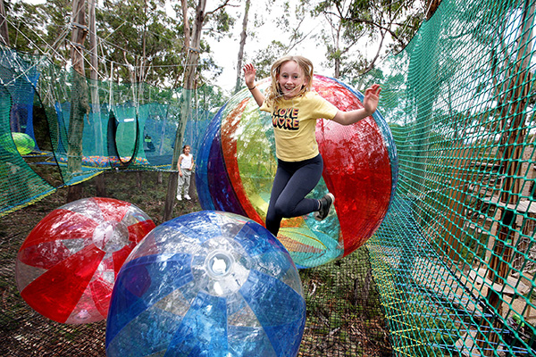 Lorne’s Live Wire Park introduces new elevated experience