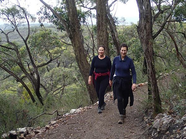 New Mt Lofty Summit walking and cycling trail officially opens