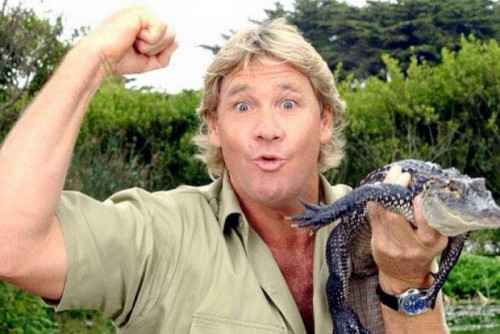 10 years on Steve Irwin’s wildlife conservation legacy lives on