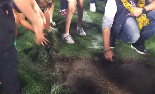 Fans invade pitch and remove turf after last game at Domain Stadium