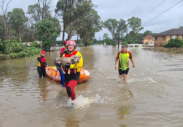 Lifesavers help with flood rescue efforts in Queensland and NSW