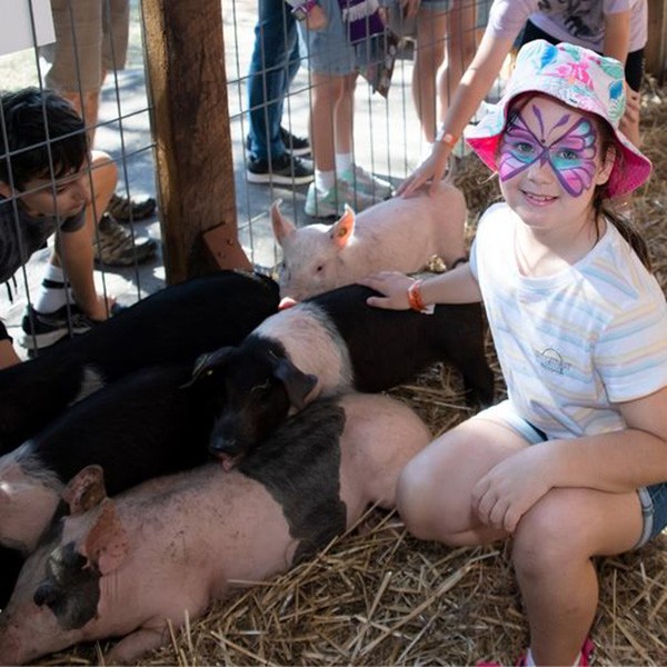 Sydney’s Royal Easter Show 2021 receives $15.1 million in Federal Government support