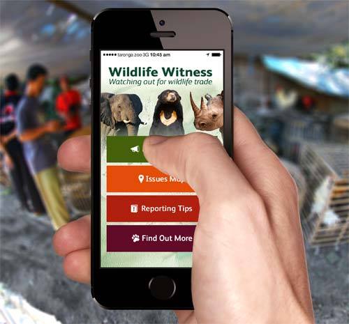 Taronga app empowers travellers to report illegal wildlife trade