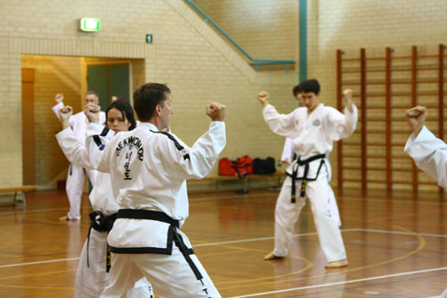 Taekwon-Do New Zealand looks to continue growth in 2016