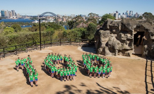 Taronga Zoo marks 100 years of conservation