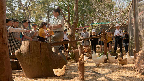 Taronga Zoo marks National Water Week with exhibition in ‘Backyard to Bush’ education precinct