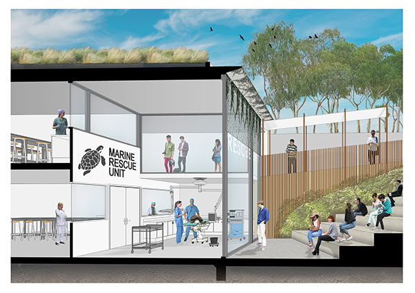 Taronga Zoo plans for new Wildlife Hospital and upgraded Reptile Centre with government and private funding