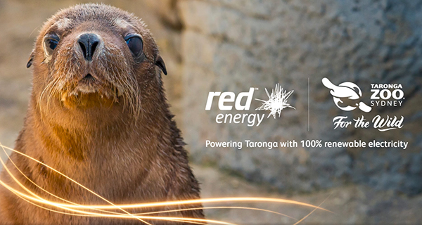 Taronga Zoo and Taronga Western Plains Zoo now powered by 100% renewable electricity