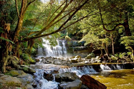 UNESCO criticism prompts Tasmanian World Heritage Area plan review