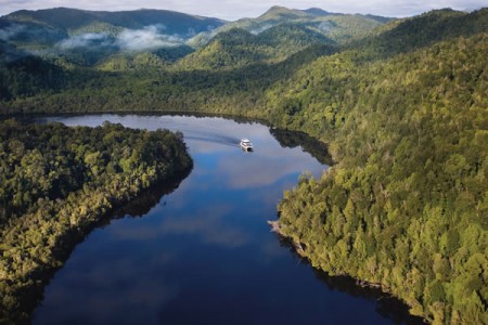 UN advice prompts Tasmanian Government to abandon World Heritage forest logging plans