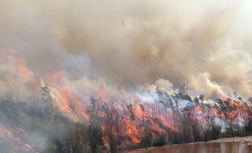 Fire risk in Tasmania’s World Heritage area needs more research ahead of ‘longer, drier summers’