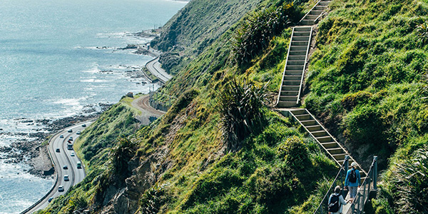 Te Araroa Wellington Trust looks for two new trustees to govern Wellington section of the trail