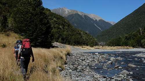 Record numbers take to New Zealand’s national walking trail