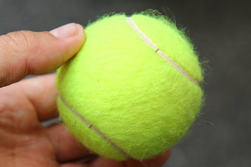 Schoolgirl sues classmate for tennis ball in the eye