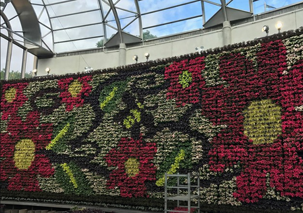 Royal Botanic Garden Sydney presents living floral wall showpiece at The Calyx