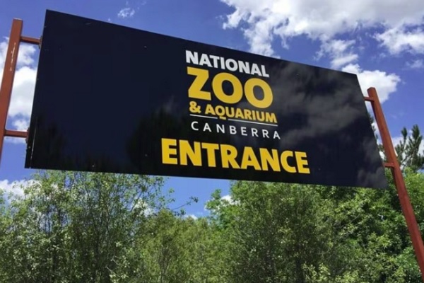 Female staff member found dead from apparent stabbing at National Zoo and Aquarium in Canberra