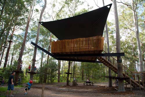 Ecoline reveal TreeTop conference venue