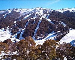 Skiers and snow lovers go sustainable with Greenfleet and Thredbo