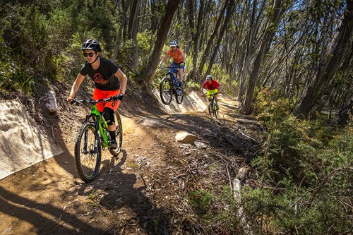 Report reveals more than 340,000 people participate in mountain biking in Australia