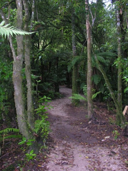 Taumarunui to remain a key stop on Te Araroa trail