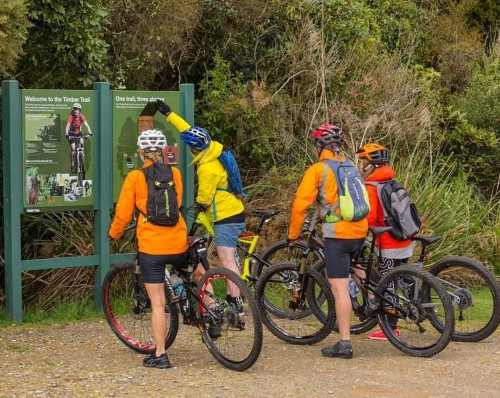 Sought-after tourist accommodation set to open on the Timber Trail cycle way