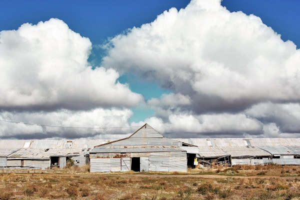 Crowdfunding campaign aims to save historic Toganmain Woolshed