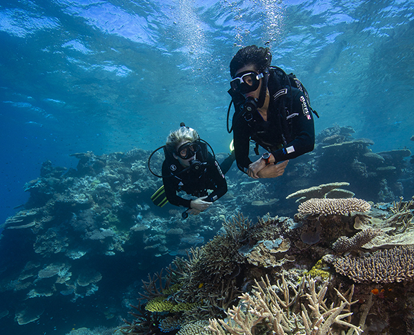 Census launched to help inform Great Barrier Reef key management decisions
