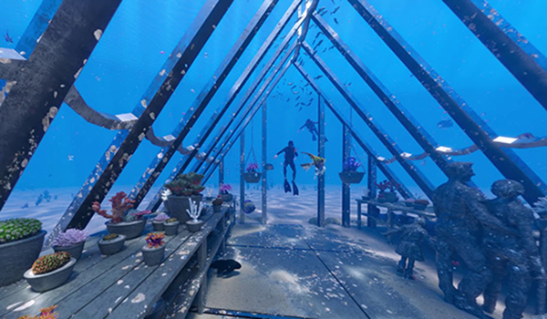 North Queensland Museum of Underwater Art now ready for divers