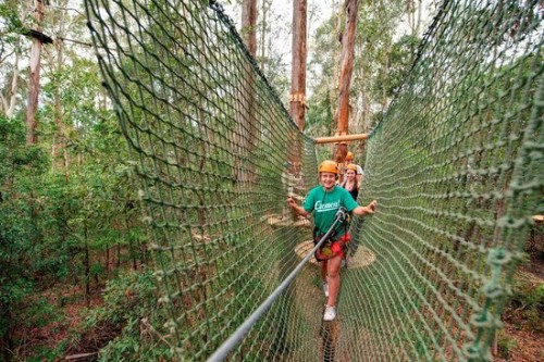 TreeTop Central Coast Adventure Park a dual winner at the 2015 NSW Tourism Awards