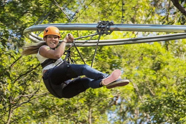 Experience Co to acquire Trees Adventure and TreeTops parks in $46.9 million deal
