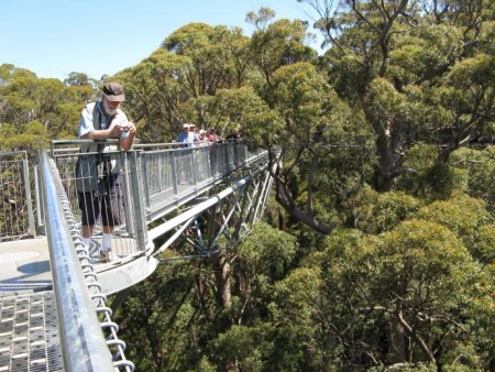 Tree Top Walk carries its 2.5 millionth visitor