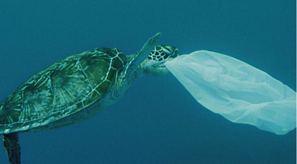 NSW plastic ban will divert 2.7 billion plastic items from oceans but balloons still need to be banned