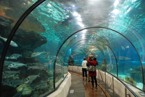 Singapore marine attraction Underwater World set to close