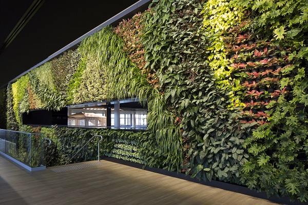 Queensland’s largest green wall unveiled at Breakfast Creek Lifestyle Precinct