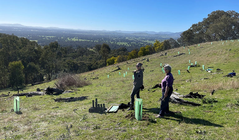 Volunteering Innovation Fund to drive innovative environmental projects in Victoria