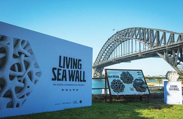 Volvo creates extensive Living Seawall in Sydney Harbour to combat pollution and promote biodiversity