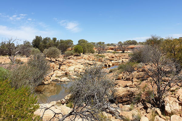 Western Australia’s Plan for Our Parks initiative sees creation of five Badimia conservation reserves