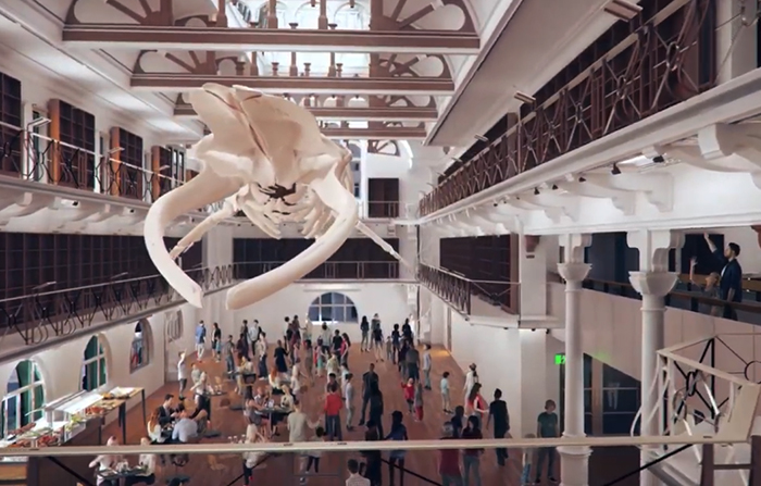 New WA Museum revealed in video animation