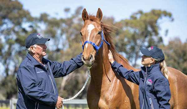 Racing and Wagering Western Australia unveils new racehorse welfare facility