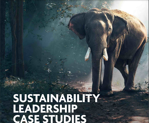 WTTC insight papers released to help drive sustainability in tourism