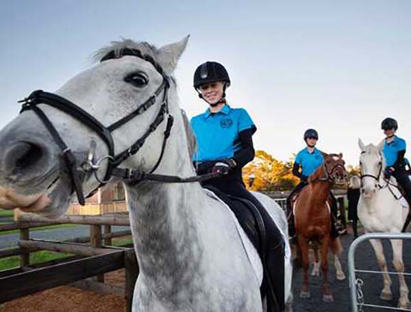 New equestrian facilities opened in Auckland