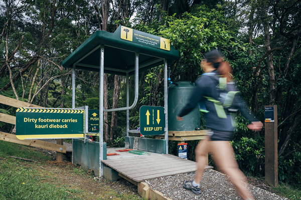 Auckland’s Waitakere Ranges reopen 11 tracks in time for Summer