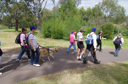 Australians urged to include walking in their daily activities