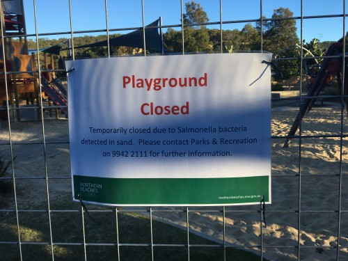 Sydney playground closed following salmonella outbreak