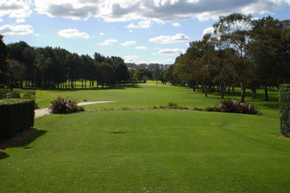 Northern Beaches Council considers sacrificing golf courses for sports fields