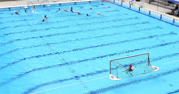 Water Polo Australia partners with Belgravia Group to promote long-term growth