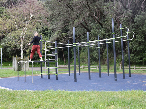 Wellington Calisthenics community welcomes its first purpose-built outdoor gym