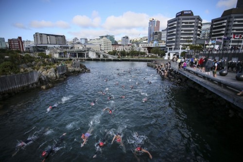 1,250 take part in Wellington ocean swim event