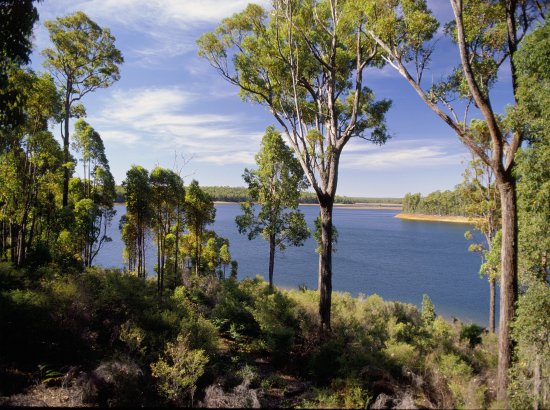 New walking trail opens in Wellington National Park